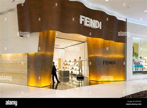 fendi uae website|fendi dubai website.